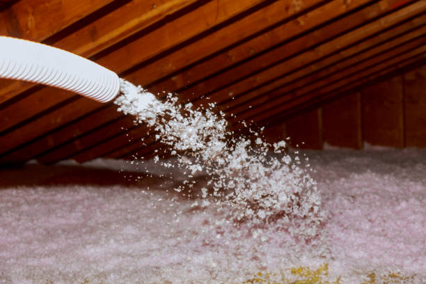 Best Geographic-Specific Insulation Services in Cadiz, KY